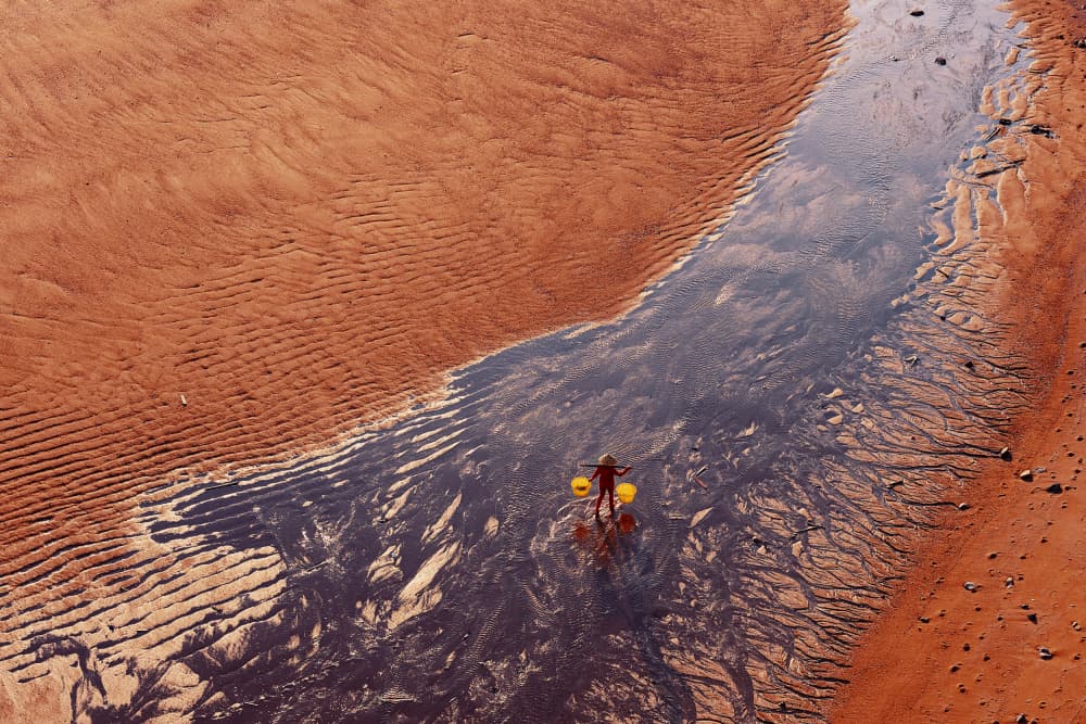 Lone Wader Tidal Flats by Gina Buliga — canvas wall art