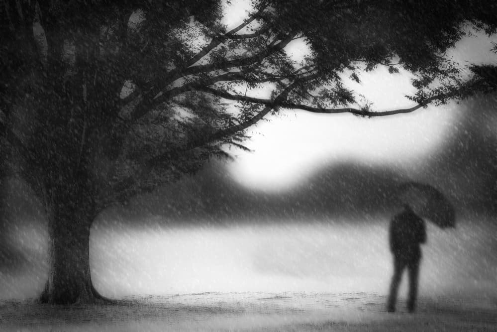 Solitary Man In Rain by Teruhiko Tsuchida — canvas wall art