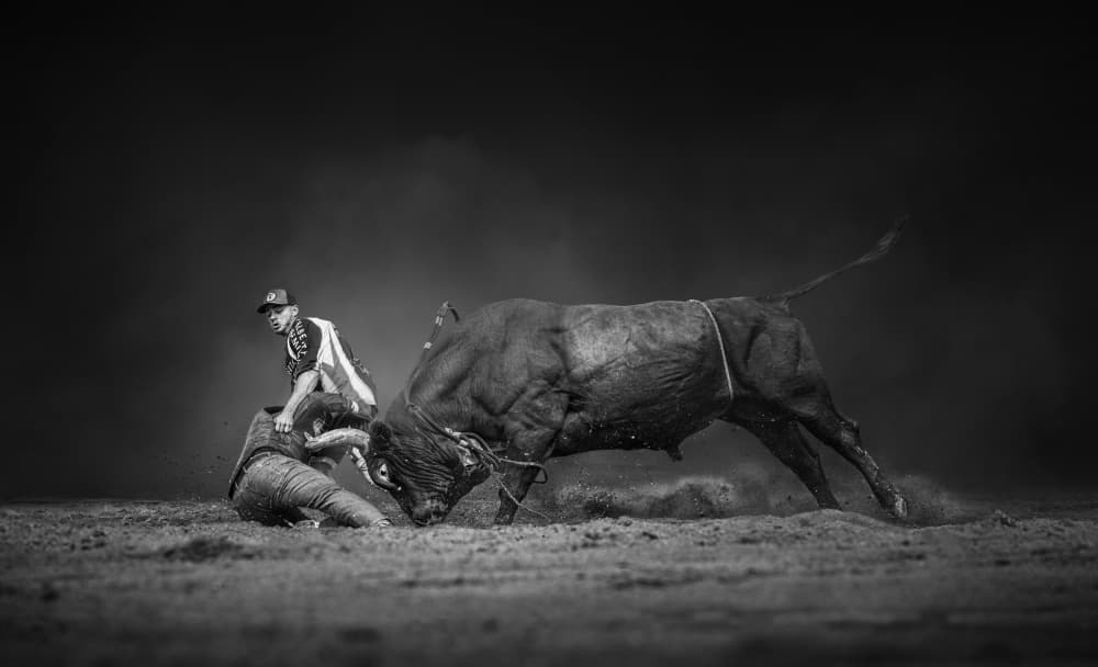 Man Versus Bull by Leeian Dai — canvas wall art