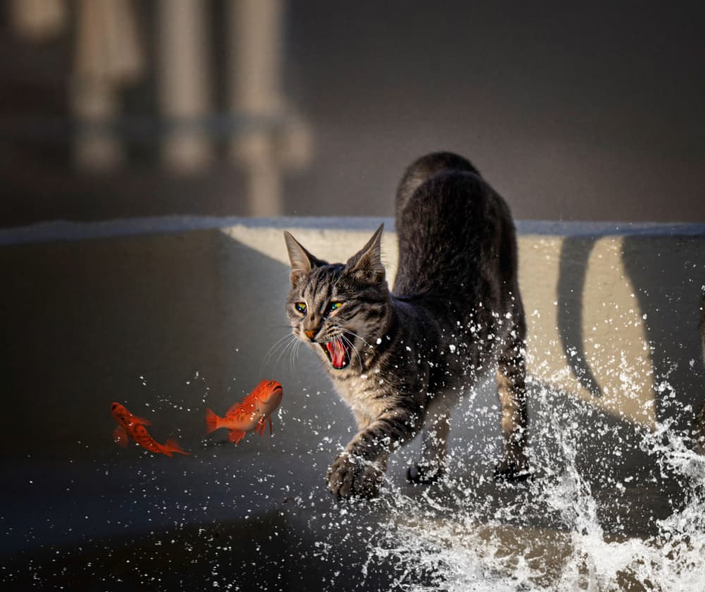 Tabby Cat Splash Hunt by John-Mei Zhong — canvas wall art