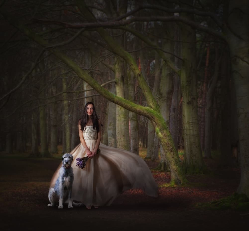 Elegant Forest Duo by Martin Marcisovsky — canvas wall art