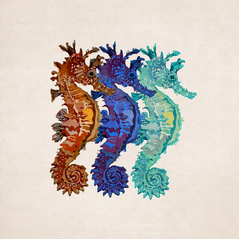 Seahorse Symphony by Emel Tunaboylu — canvas wall art
