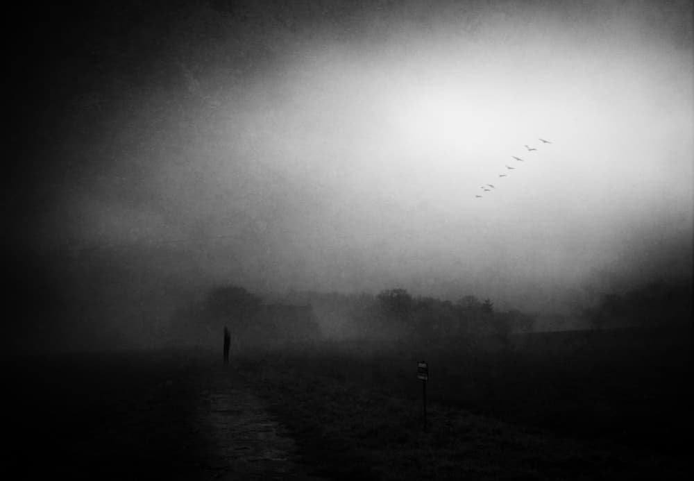 Lone Figure Misty Morning by Adam Dauria ☂ — canvas wall art
