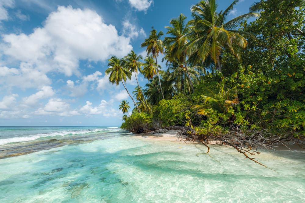 Turquoise Bay by Stefan Hefele — canvas wall art