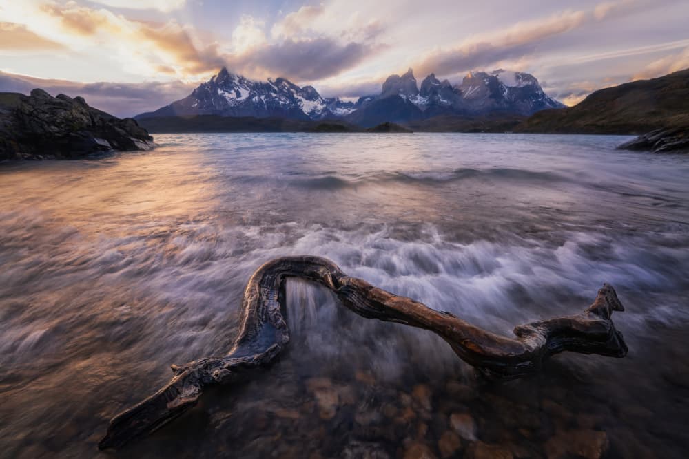 Mountain Lake Driftwood by Yongnan Li (李永男) — canvas wall art