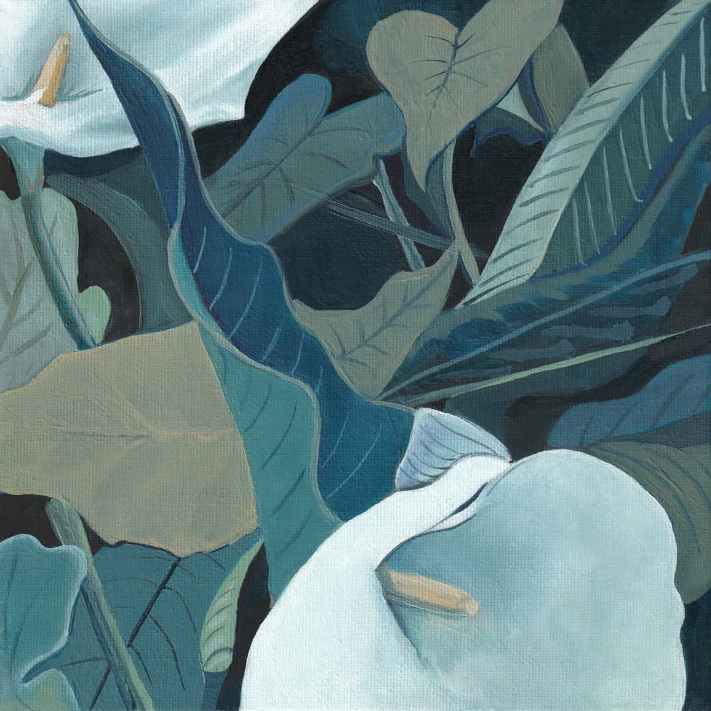 Serene Calla Lilies by Viccy Wanliss — canvas wall art