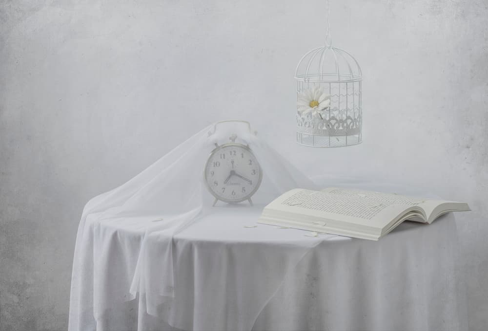 Serene Clock Book Birdcage by Margareth Perfoncio — canvas wall art