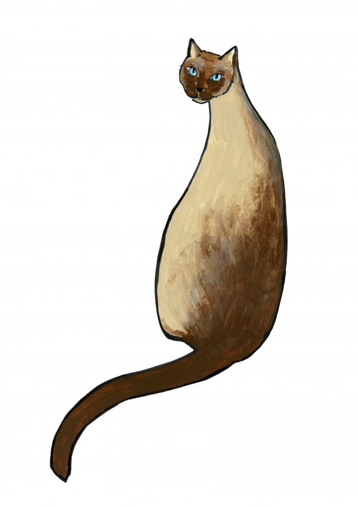Siamese Cat Blue Eyes by Rosana Laiz Blursbyai — canvas wall art