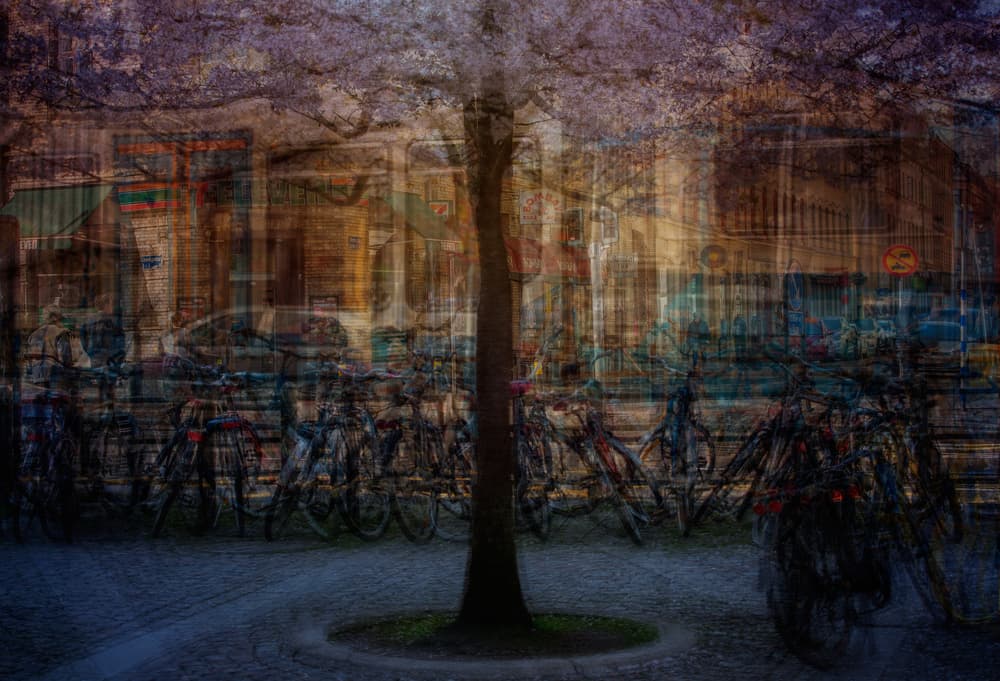 Dreamy Urban Blooms by Katarina Holmström — canvas wall art