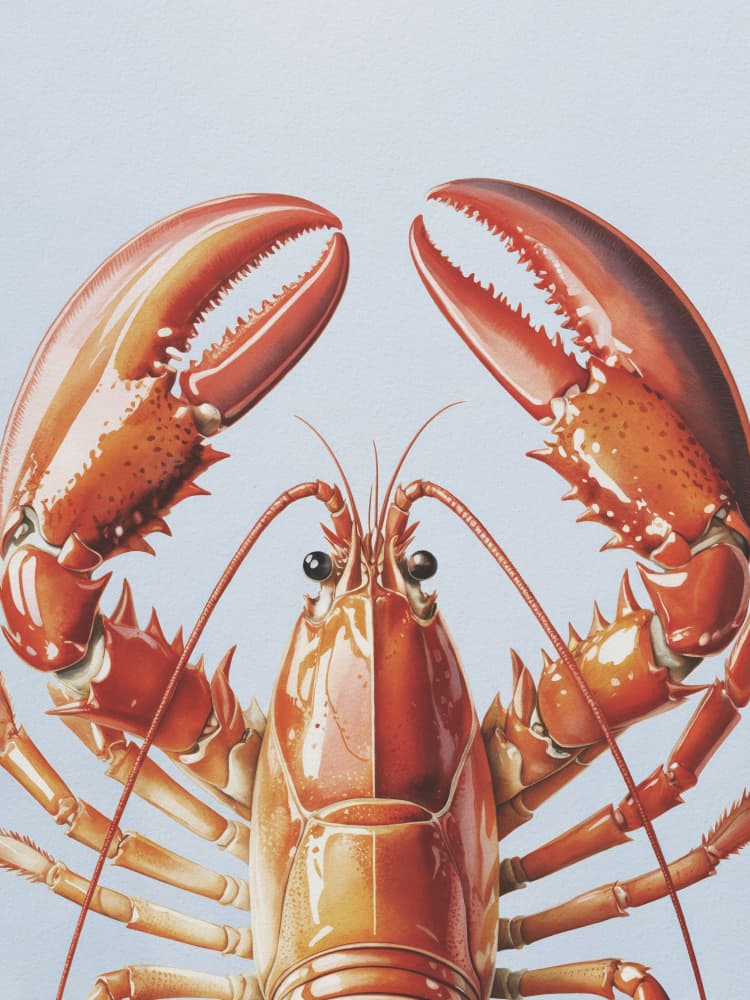Majestic Red Lobster by Andreas Magnusson — canvas wall art