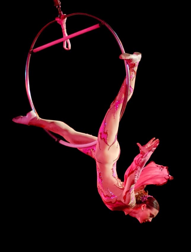 Elegant Aerial Lyra by Riekus Reinders — canvas wall art