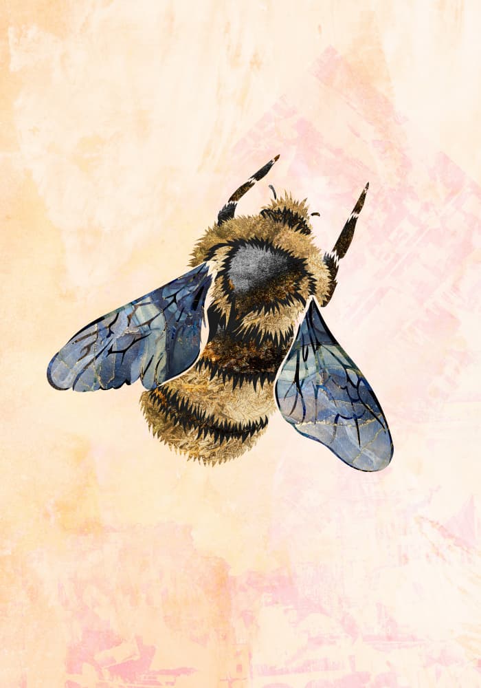 Bumblebee In Flight by Sarah Manovski — canvas wall art
