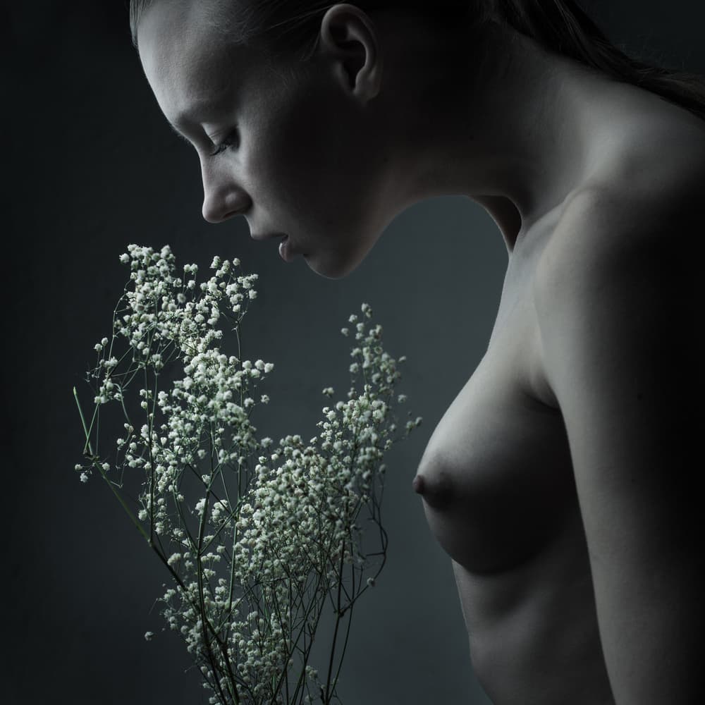 Subtile Blossoms by AURIMAS VALEVICIUS — canvas wall art