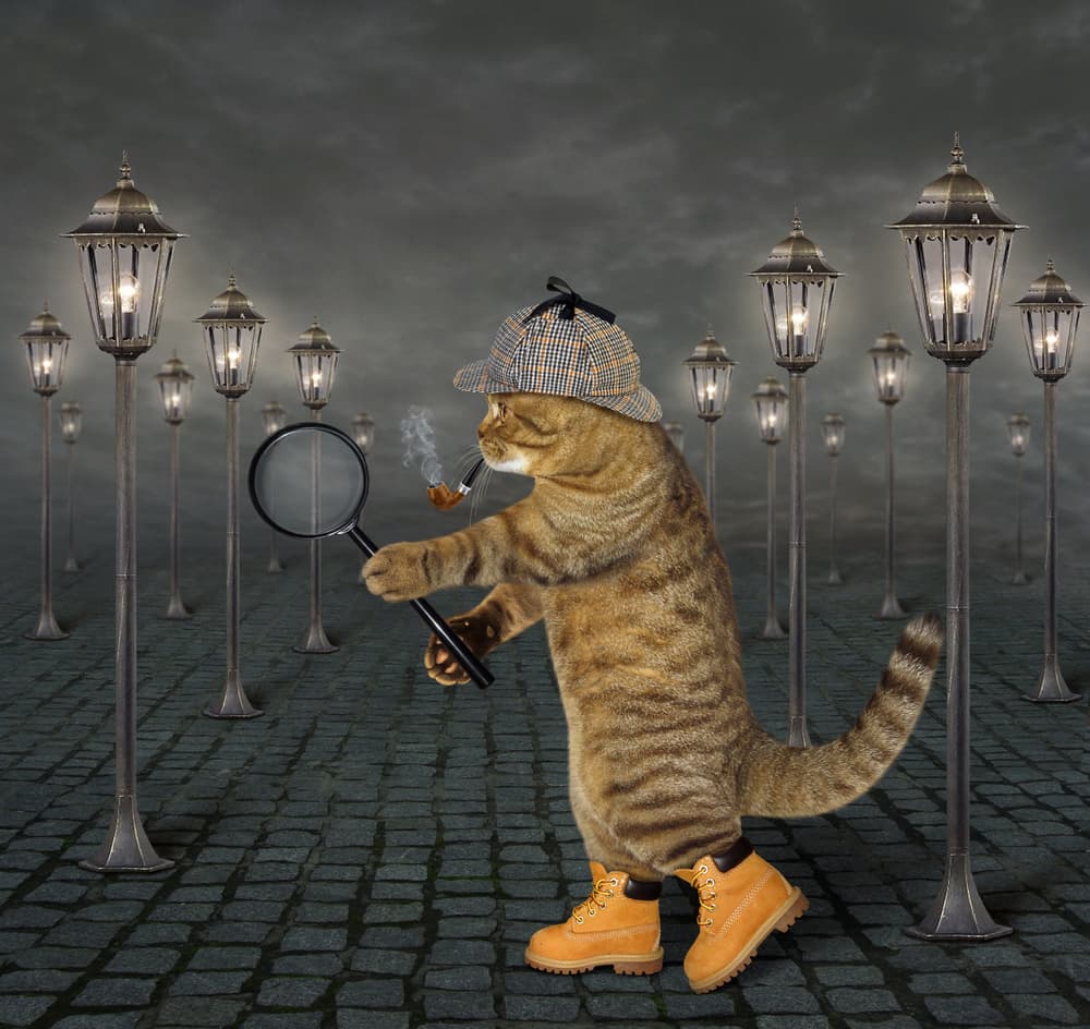 Curious Cat Detective by Iryna Kuznetsova (Iridi) — canvas wall art
