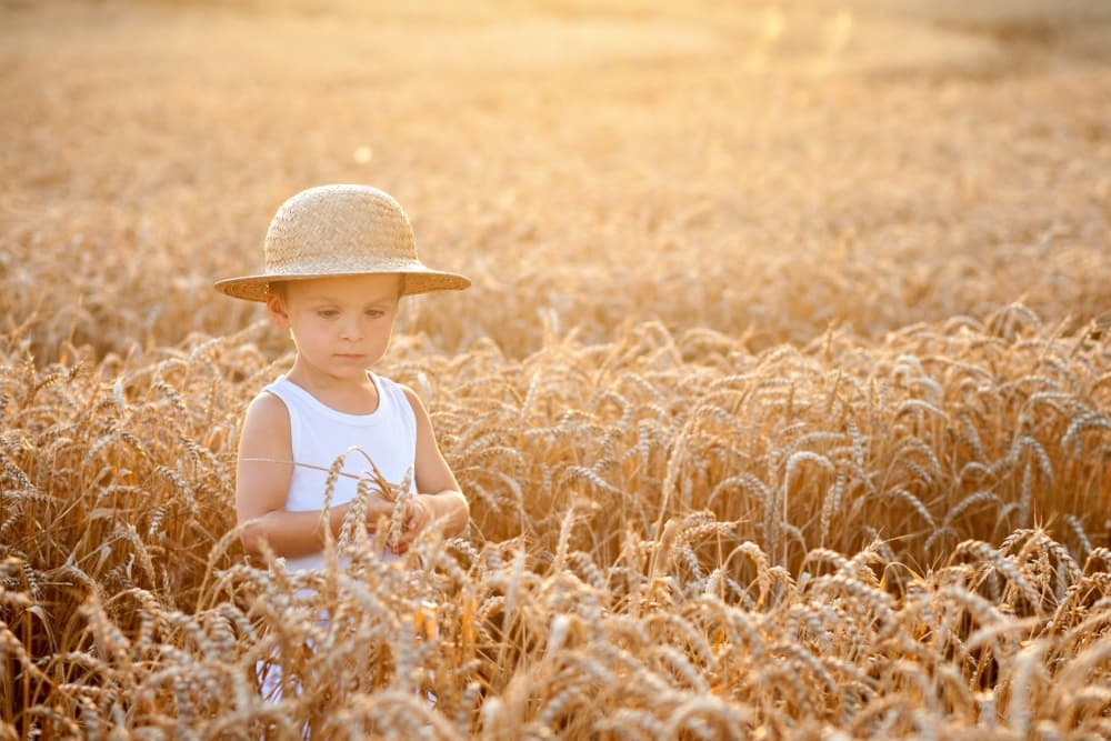 Little Boy Golden Wheat by Tatyana Tomsickova — canvas wall art