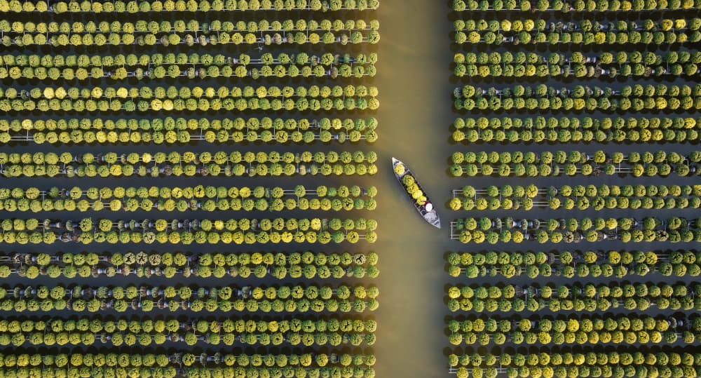 Boat Through Flower Fields by Nguyen Tan Tuan — canvas wall art