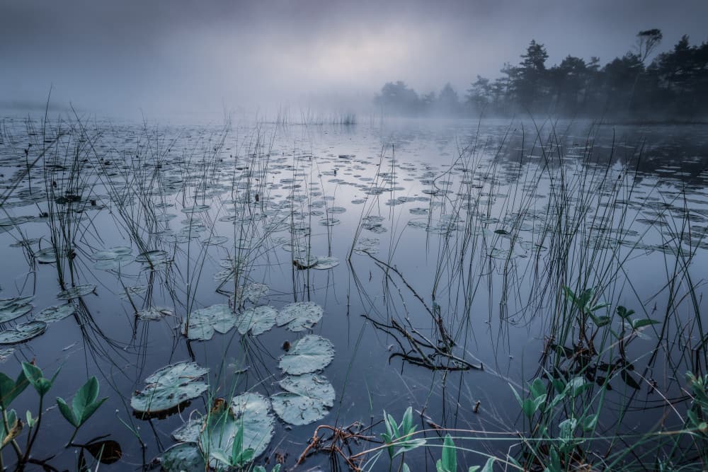 Misty Lake Morning by Benny Pettersson — canvas wall art