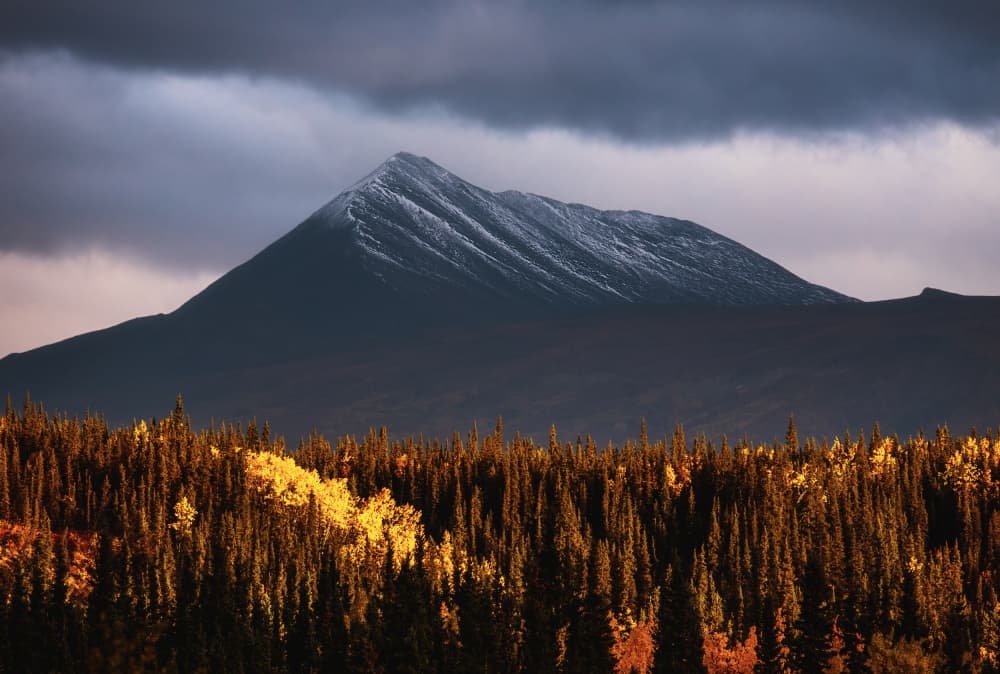 Snow Capped Autumn Peak by Jenny Qiu — canvas wall art