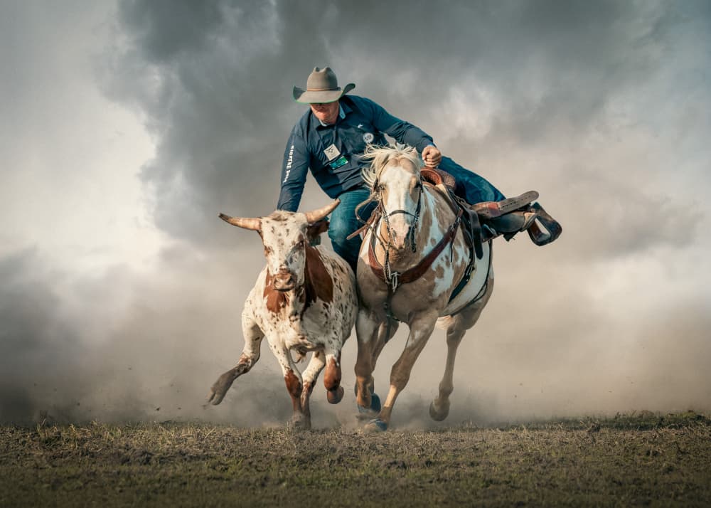 Rodeo Cowboy Action by Frank Ma — canvas wall art