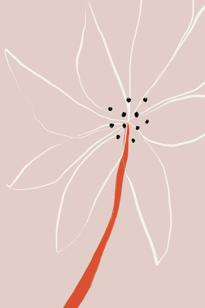 Delicate Abstract Flower with White Petals by uplusmestudio — canvas wall art