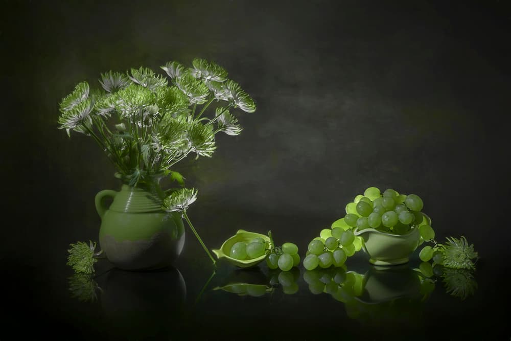 Elegant Green Still Life by Lydia Jacobs — canvas wall art