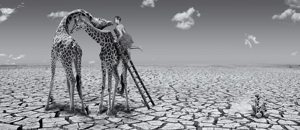 Child Feeding Giraffes Desert by ARUN MOHANRAJ — canvas wall art