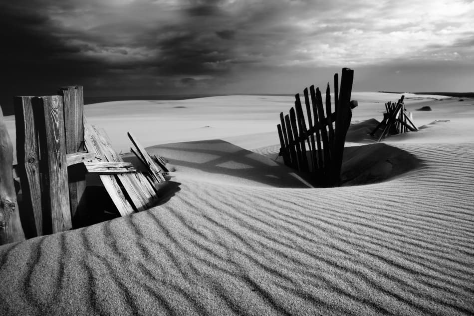 Weathered Dune Fence by Dmitry Kulagin — canvas wall art