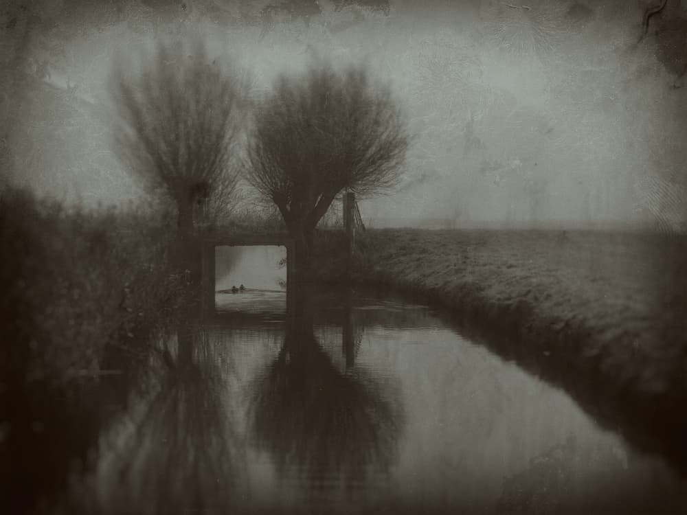 Misty Canal Willows by Jacob Tuinenga — canvas wall art