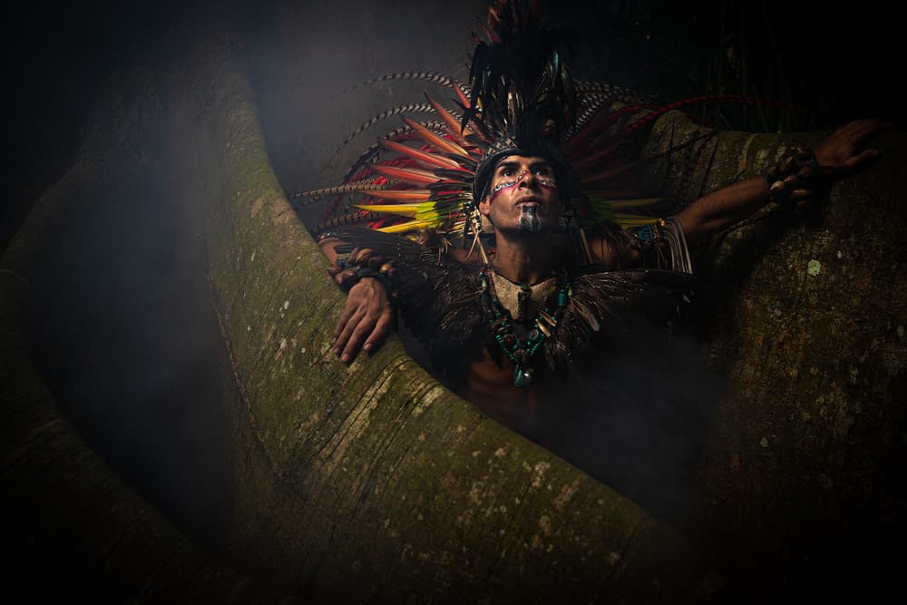 Indigenous Forest Spirit by Ali Khataw — canvas wall art