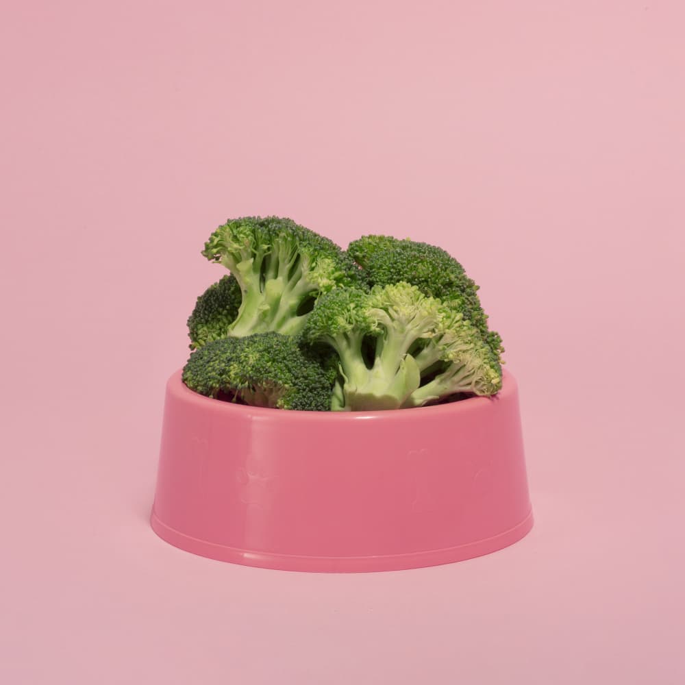 Fresh Broccoli Pink Bowl by Julia Ramiro — canvas wall art