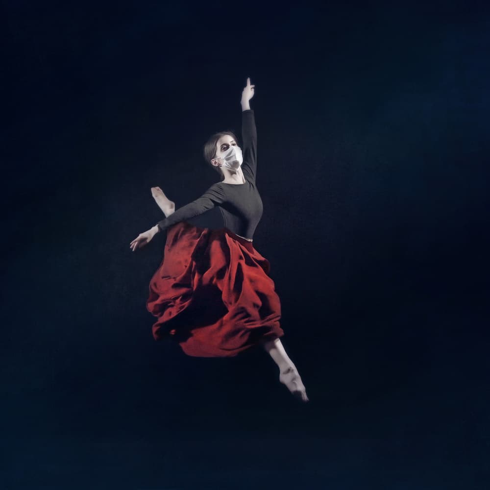 Graceful Masked Flight by Moein Hasheminasab — canvas wall art