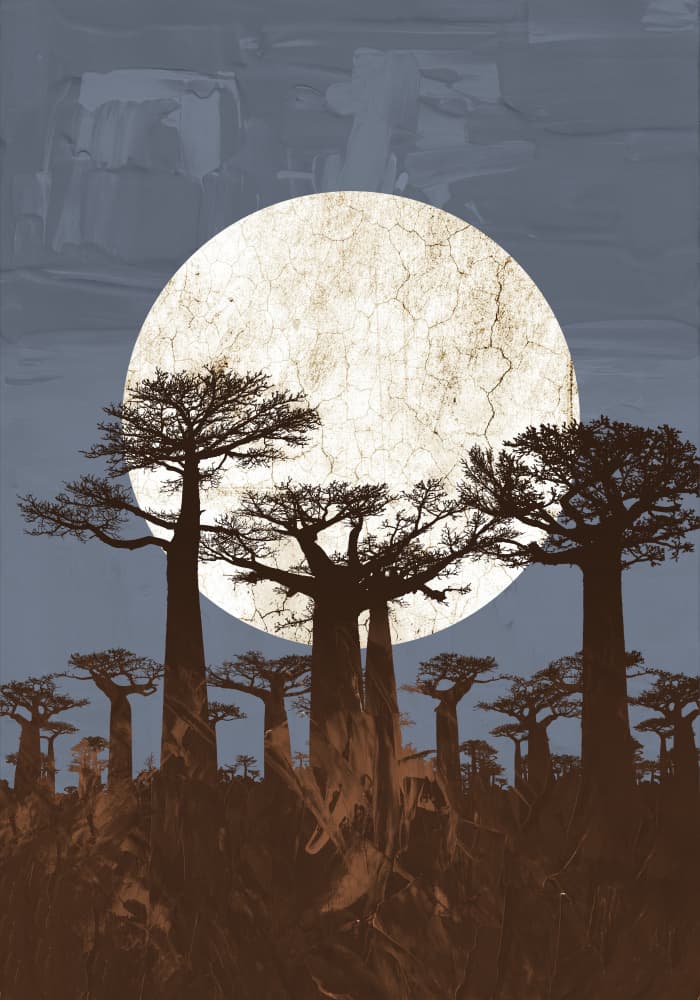 Moonlit Baobab Trees by Fadil Roze — canvas wall art