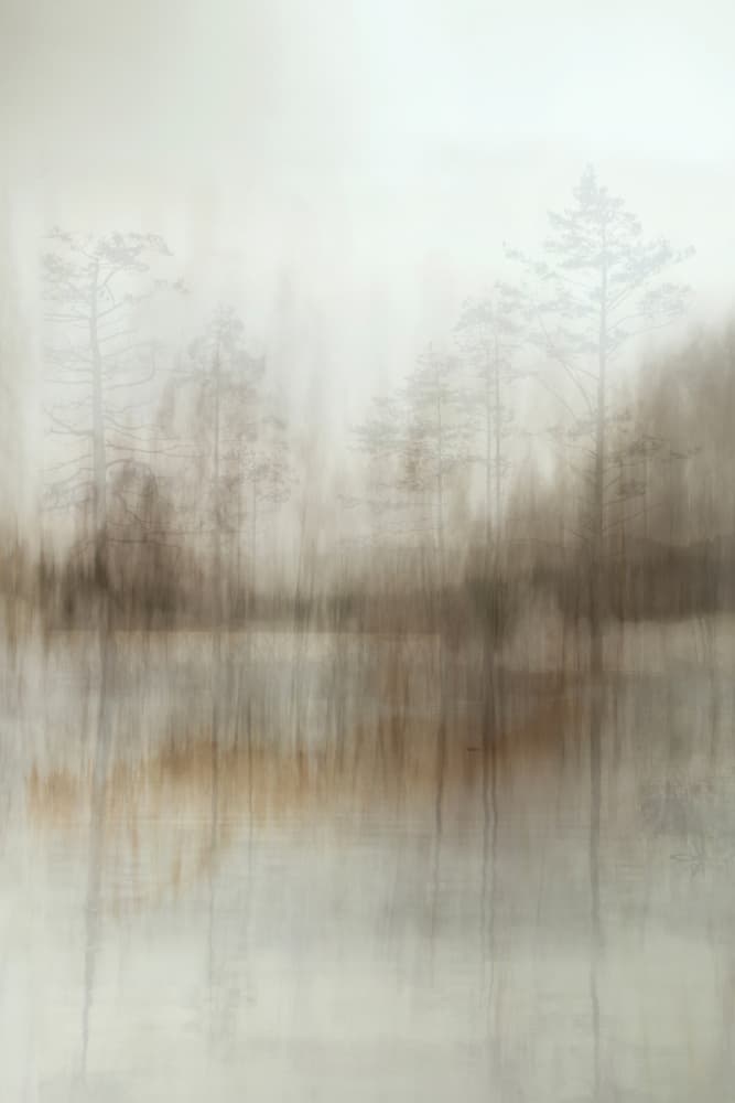 Misty Forest Reflections by Christina Sillen — canvas wall art