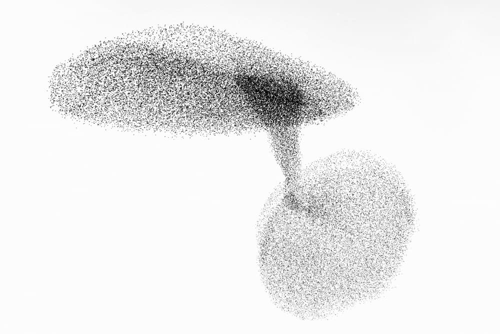 Murmuration Of Starlings by Joan Gil Raga — canvas wall art