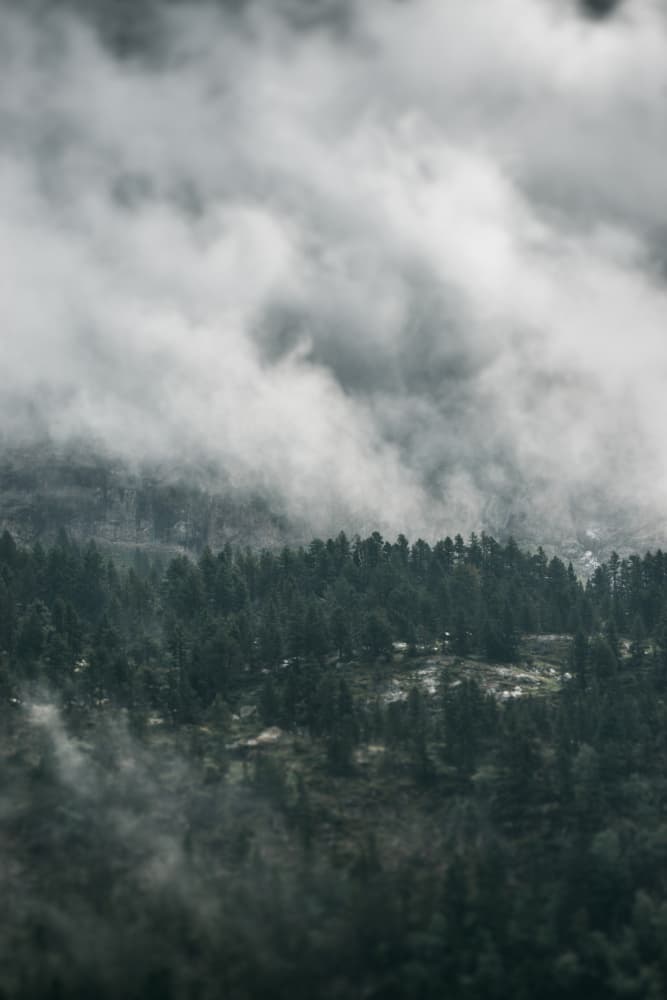 Foggy Mountain Forest by Javier Pardina — canvas wall art