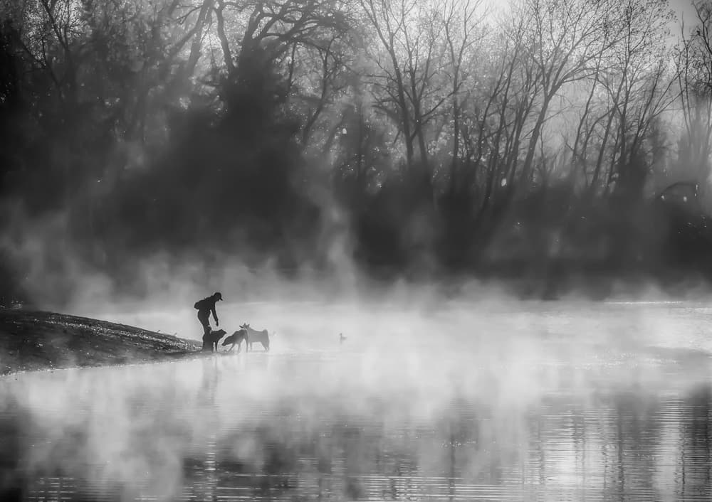 Misty Morning Walk by Jenny Qiu — canvas wall art
