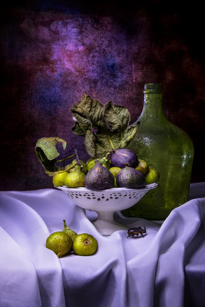 Moody Fig Still Life by Felice Angelino — canvas wall art