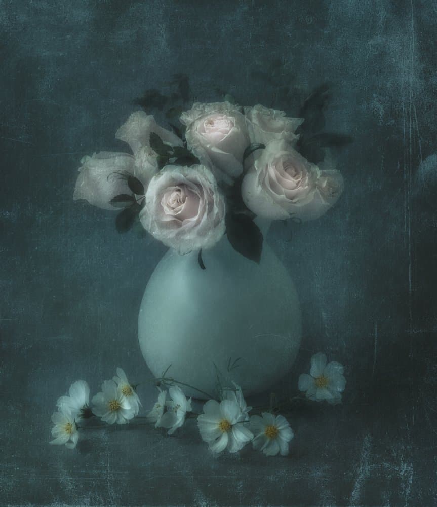 Dreamy Pastel Roses by Judy Tseng — canvas wall art
