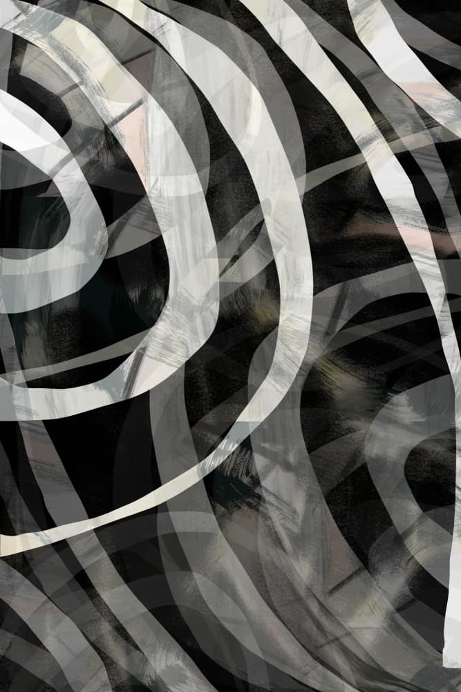 Flowing Monochrome Lines by cartissi — canvas wall art