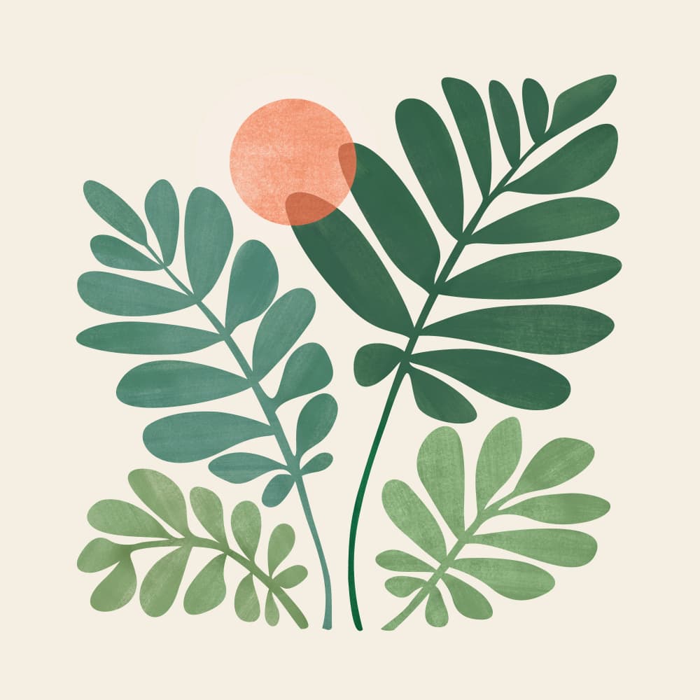 Forest Spirits Border by Kristian Gallagher — canvas wall art