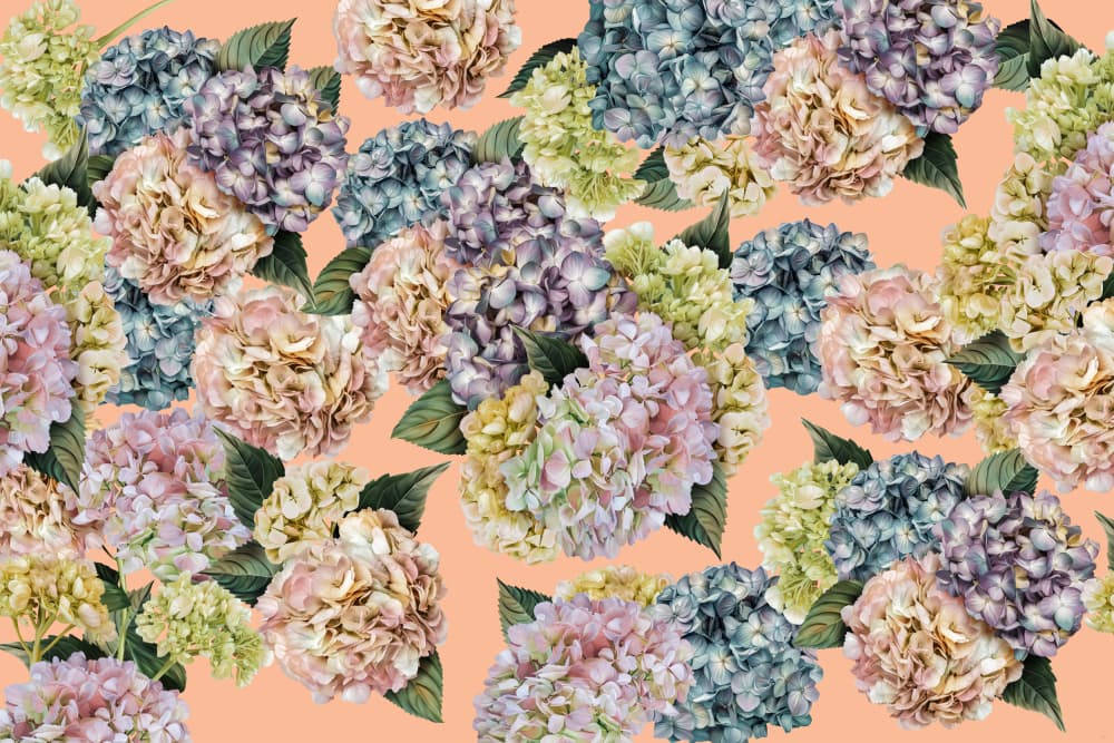 Hydrangeas_Peach Fuzz Art by Sue Skellern — canvas wall art