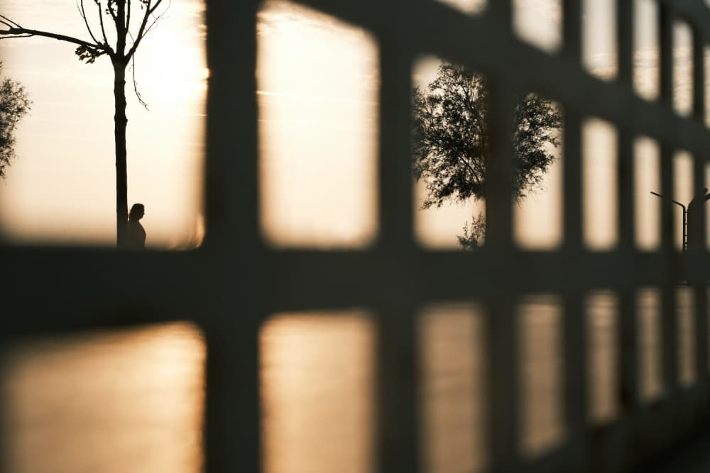 Golden Hour Silhouette by Ali Ayer — canvas wall art