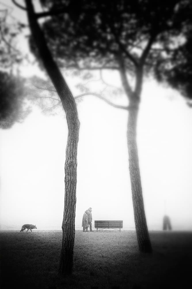 Winter Park Serenity by Enrico Facchetti — canvas wall art
