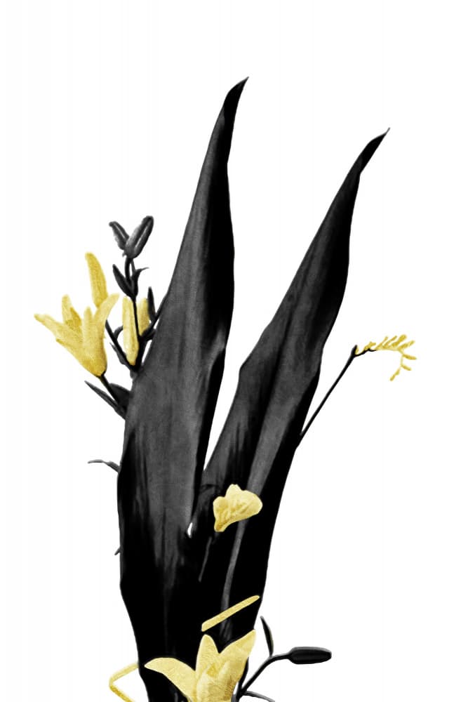 Black Leaves Golden Blooms by amini54 — canvas wall art