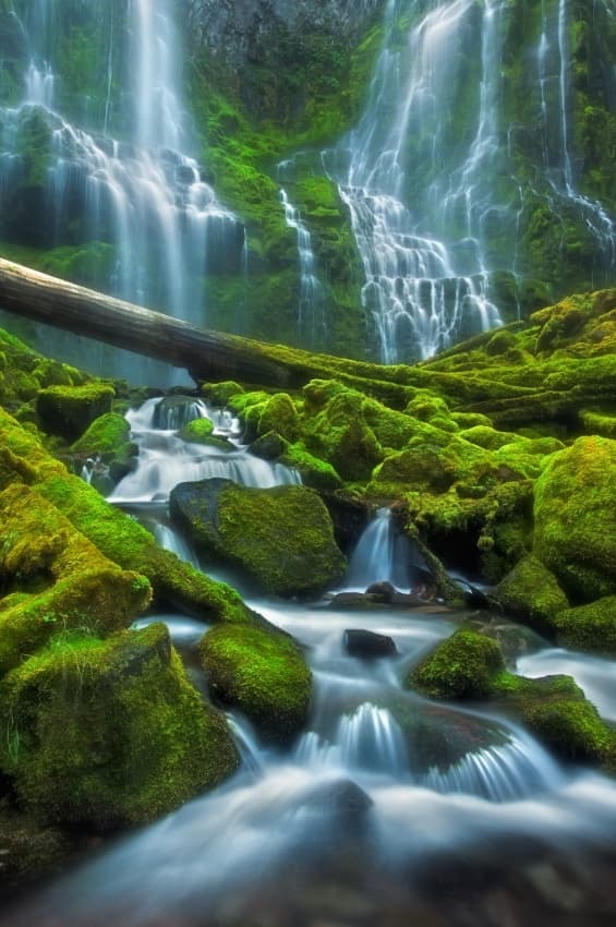 Lush Forest Waterfall by Miles Morgan — canvas wall art