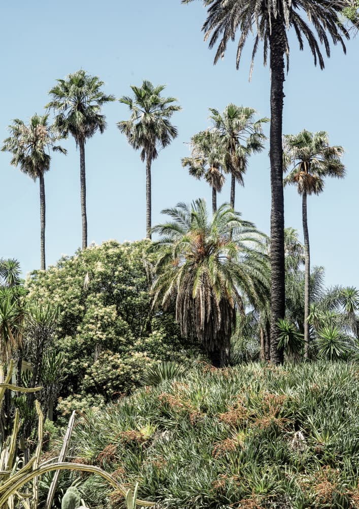 Tropical Serenity by Shot by Clint — canvas wall art