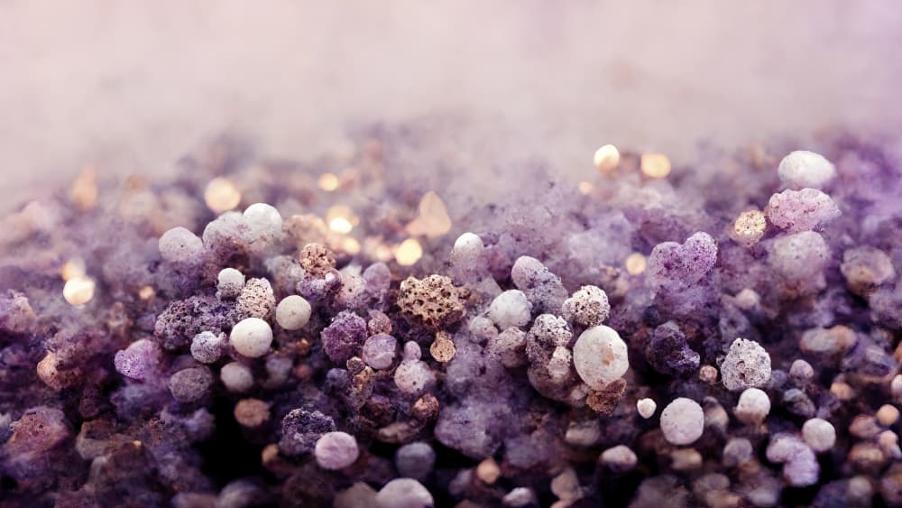 Mystical Lavender Haze by Treechild — canvas wall art