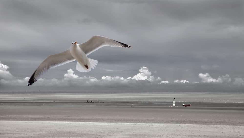 Seaside mood by Yvette Depaepe — canvas wall art