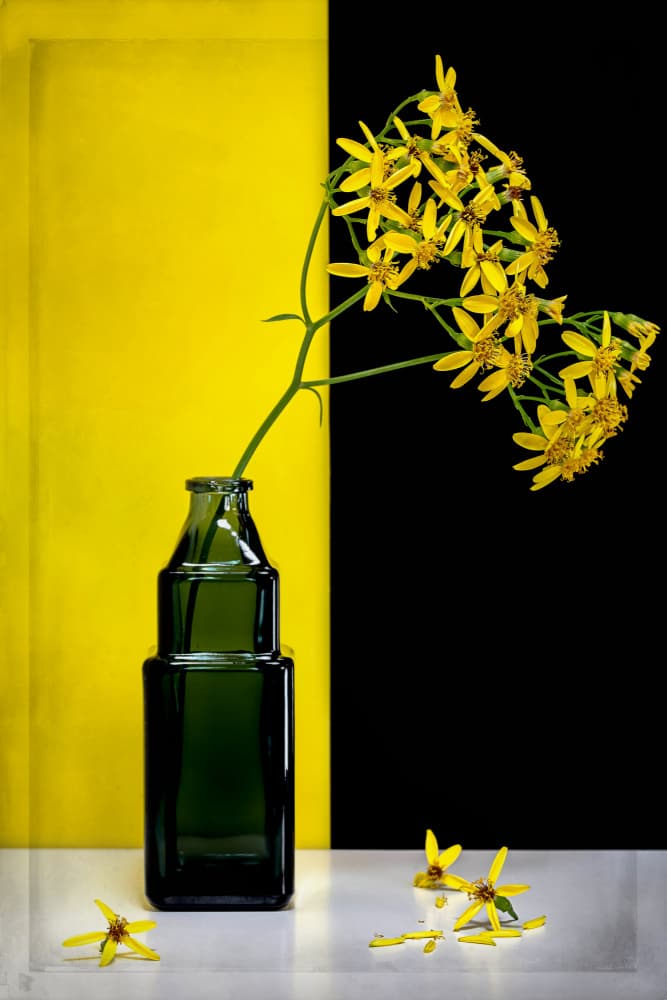 Yellow Flowers Modern Contrast by Vadim Kulinsky — canvas wall art