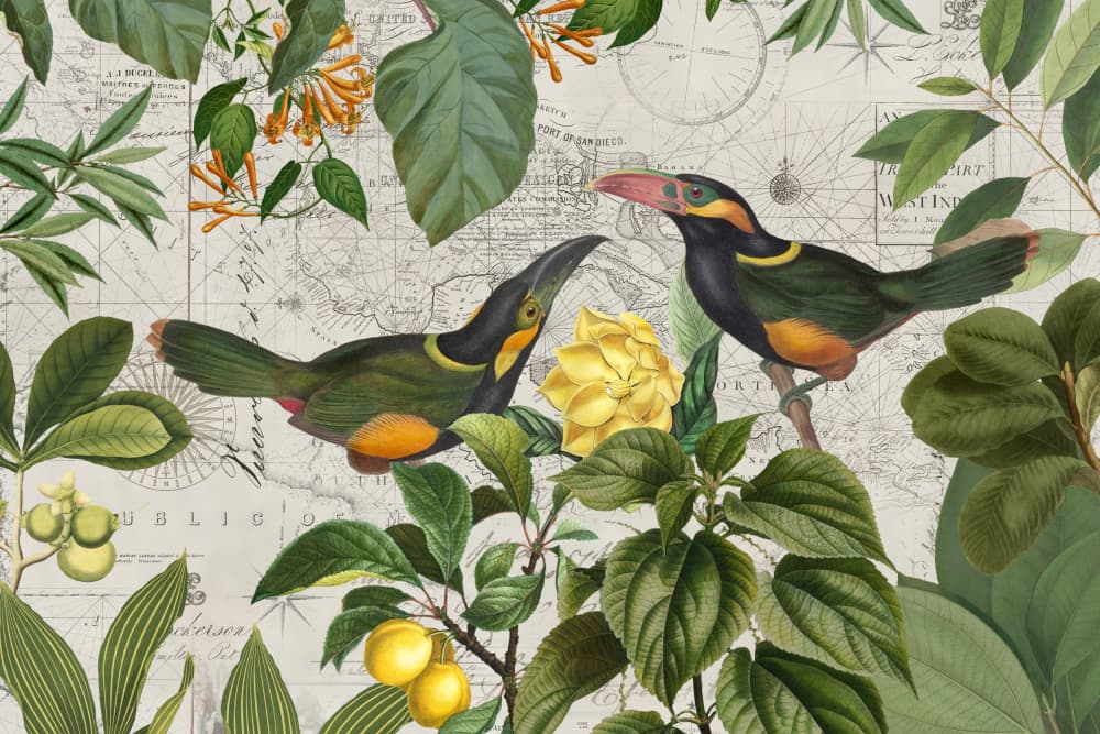 Tropical Toucans Map by Andrea Haase — canvas wall art
